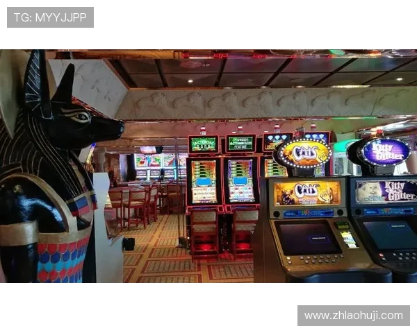 掌握老虎机玩法规则说明书提升游戏体验和中奖概率的实用技巧指南