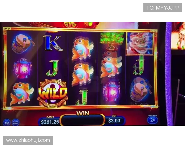 最新老虎机地址登录入口在哪，2024年最全官方入口导航推荐