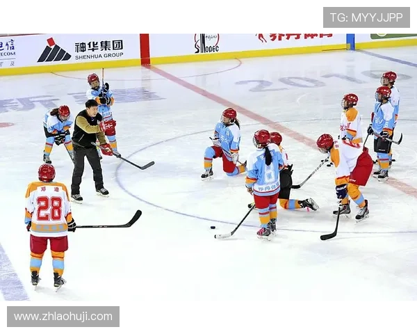 新手必看MG电子冰球完整攻略从基础规则到高级技巧全面指导