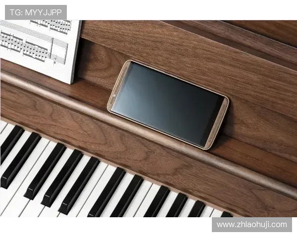 老虎机电脑版怎么调节音效和画面设置提升游戏体验的详细步骤